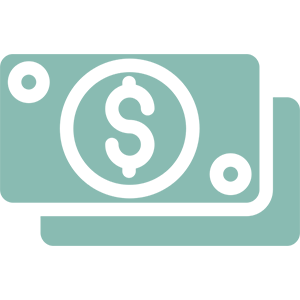 cash icon